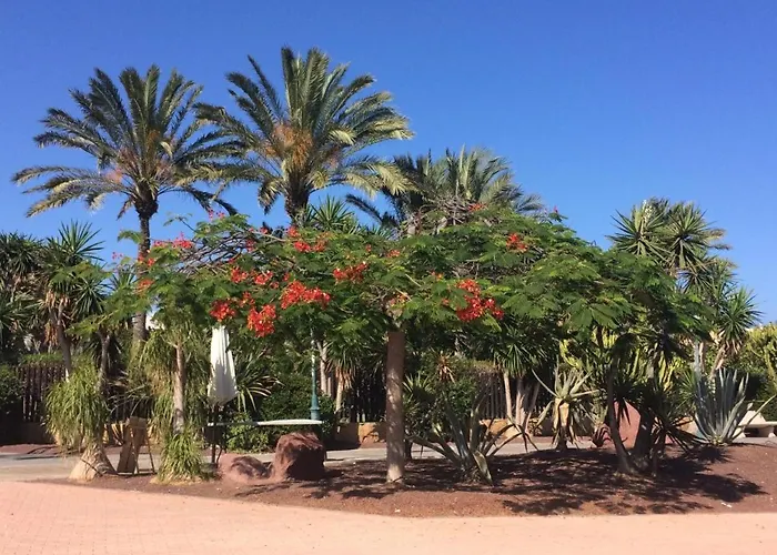 アパート Canary Getaway